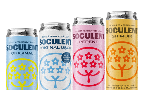 Soculent Ghimbir (Ginger) Slow-Fermented Elderflower Soft Drink 2x330ml