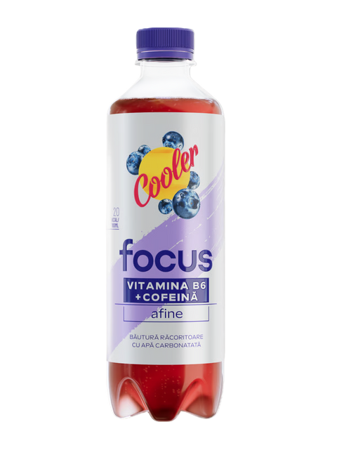 Ursus Cooler Focus Blueberry Soft drink 2x500ml
